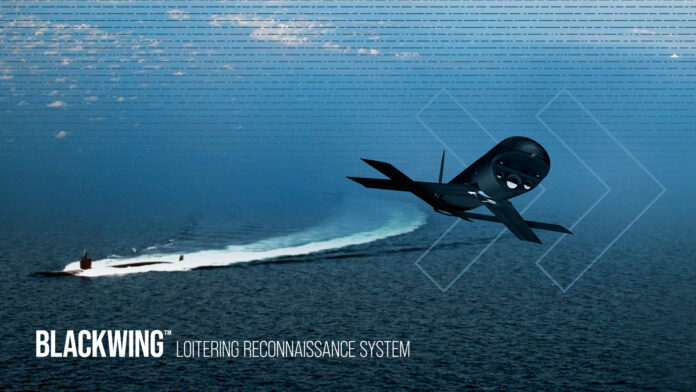 Blackwing UAS (Image Credit: AeroVironment)